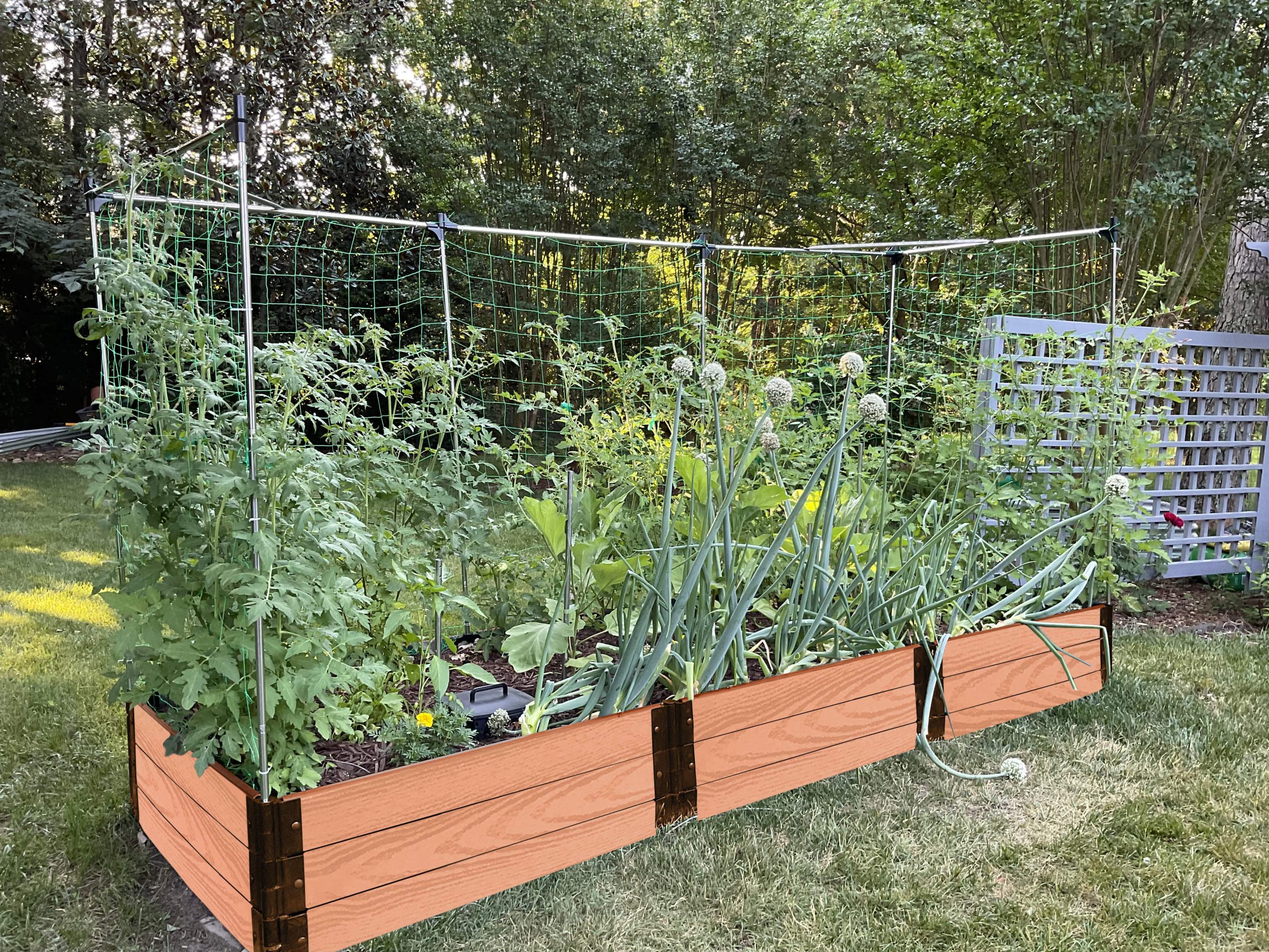 raised bed 