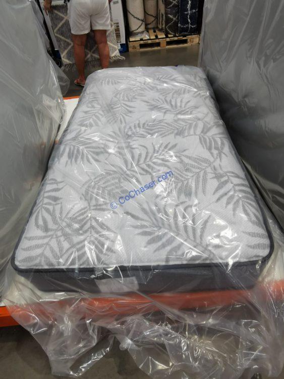 Costco twin mattress
