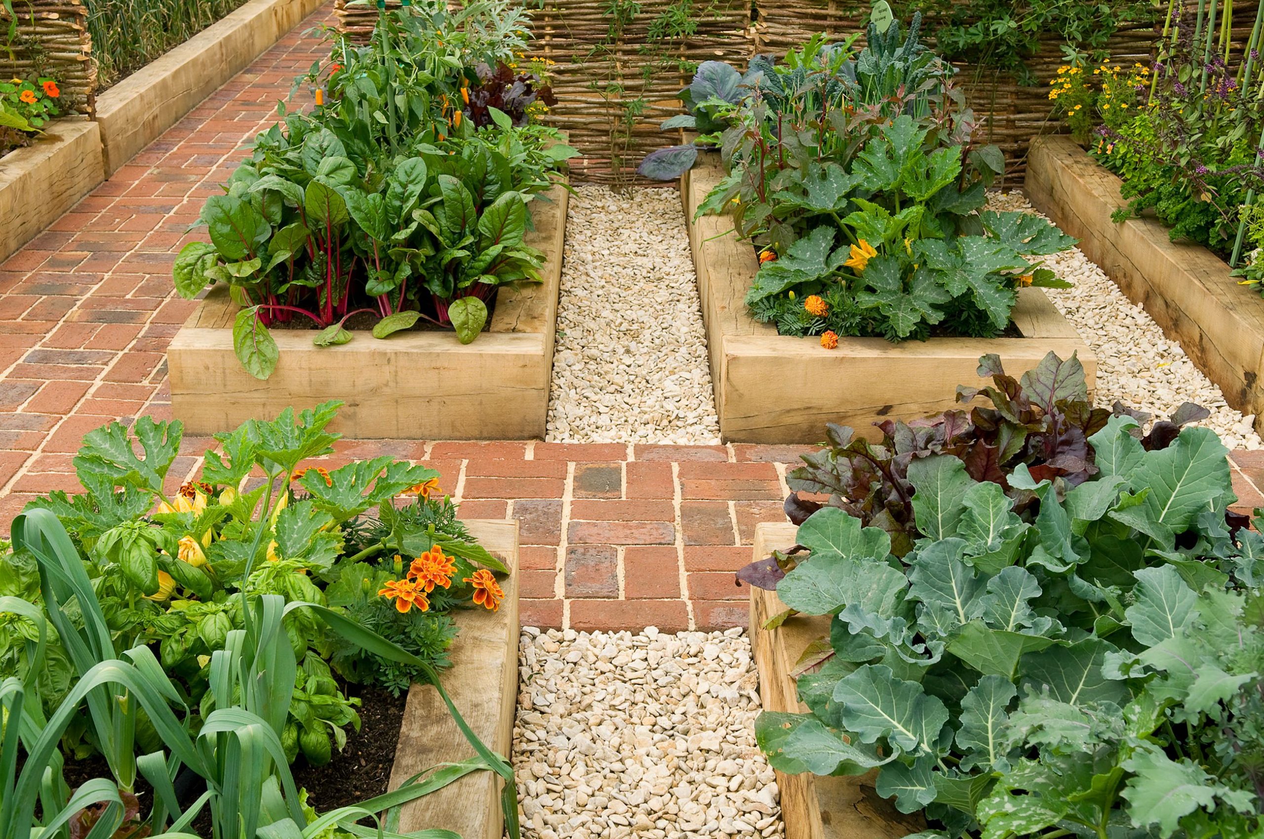 raised bed 